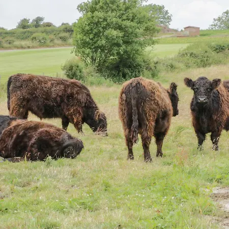 The Barn Casa vacanze *